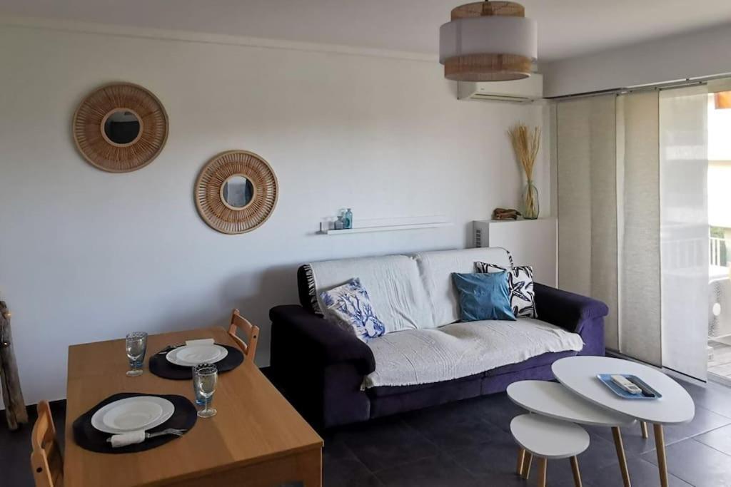 Spacieux 2 Pieces Avec Terrasse, Clim Et Parking Apartment Antibes