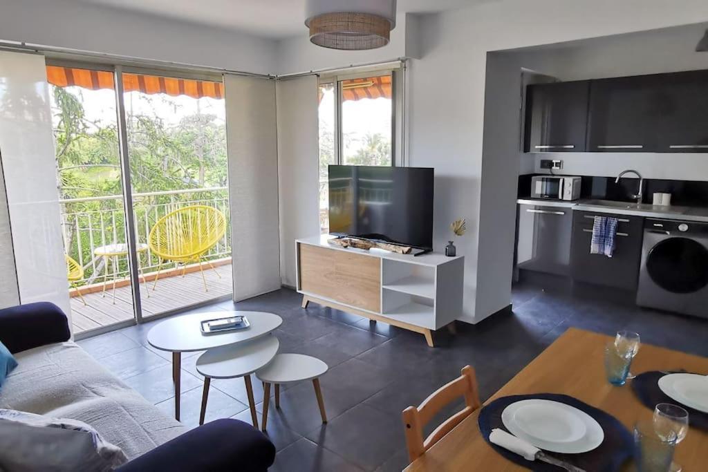 Apartment Spacieux 2 Pieces Avec Terrasse, Clim Et Parking Antibes